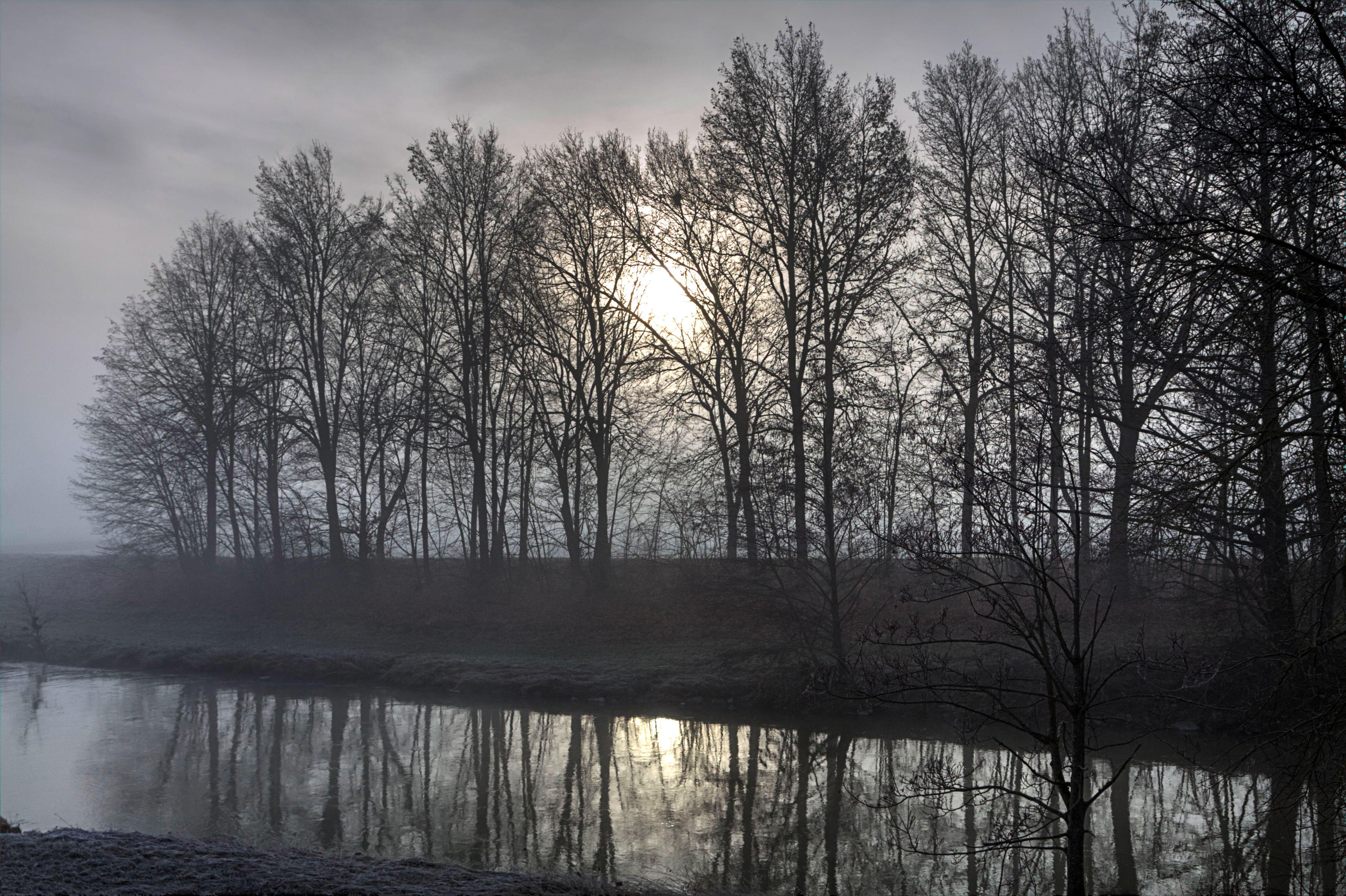 Haunersdorf Winter